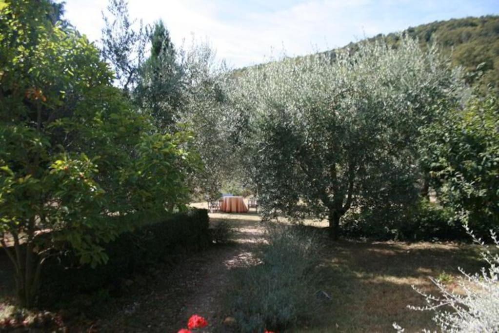 Willa Podere Gli Oppi Toscana Petroio Zewnętrze zdjęcie
